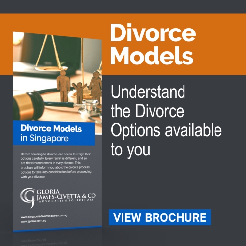 divorce model