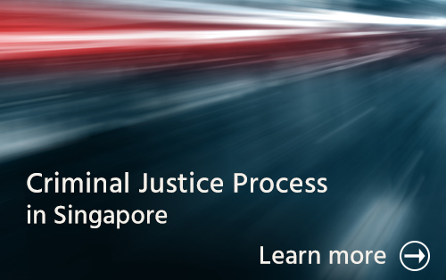 singapore criminal lawyer