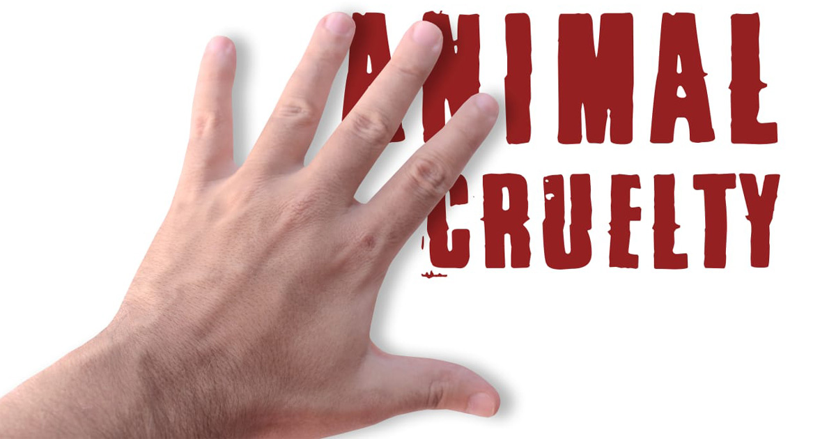 animal cruelty