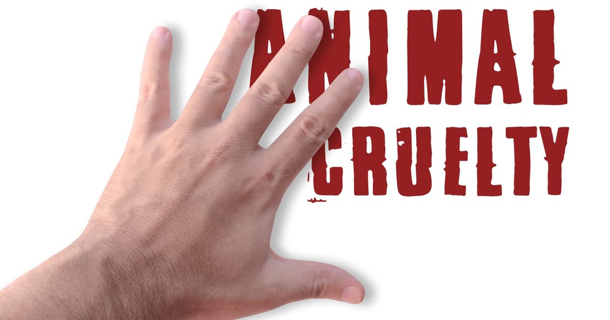 animal cruelty