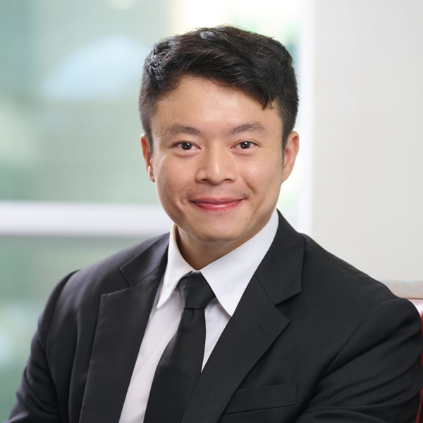 singapore criminal lawyer